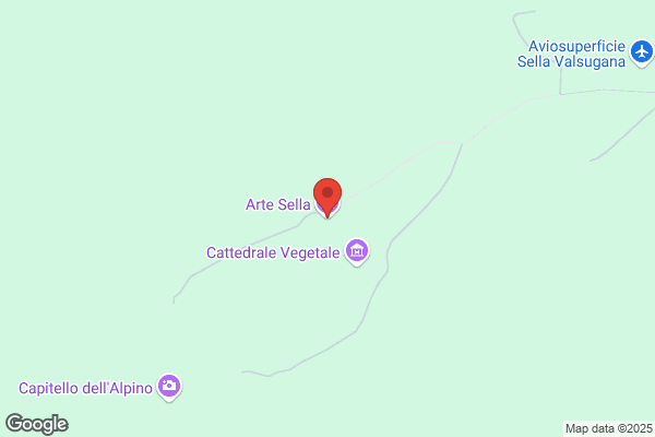 Sella angela