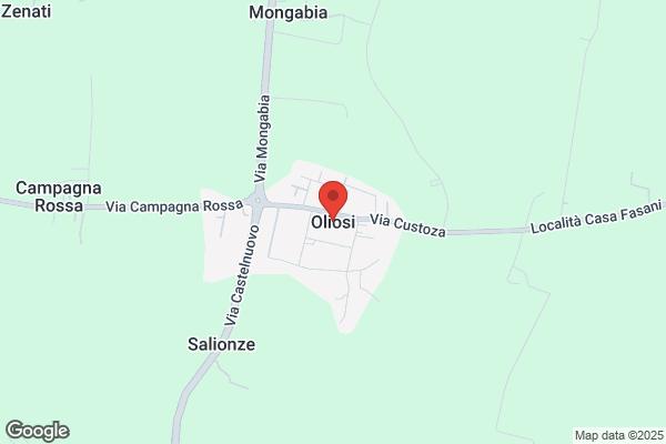 Oliosi adelino
