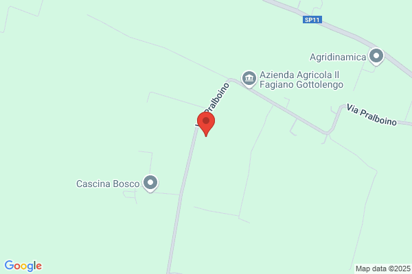 Impresa Bosco S.R.L.