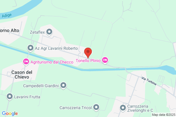 Ottolini renzo