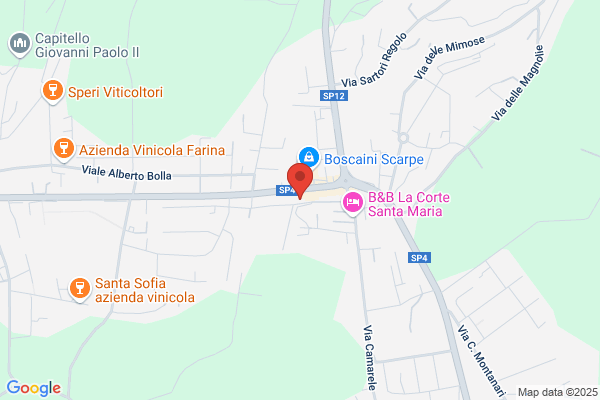 Istituto Scolastico S. Carlo (S.R.L.)