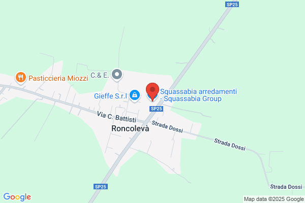 Squassabia Group (S.P.A.)