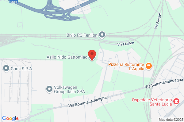 Gattomiao Snc Di Albasini Roberta Zamboni Noemi Zamboni giovanna