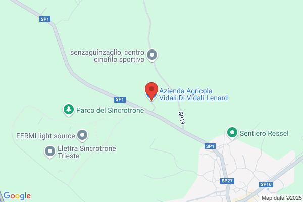 Vidali renzo