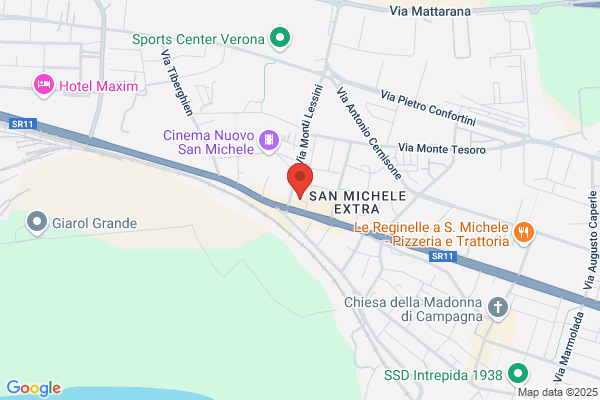 Partito Democratico Della Sinistra
