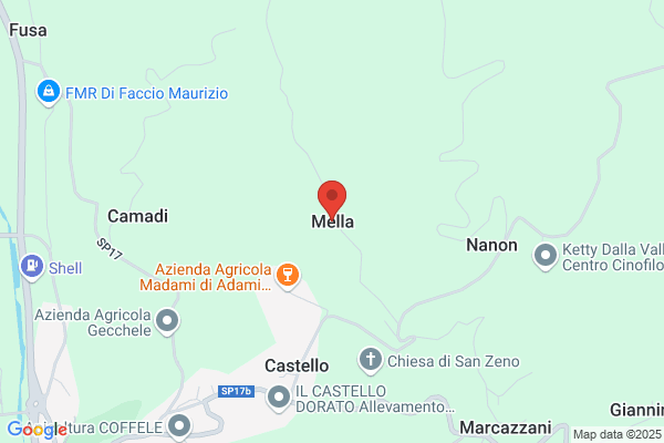 Mella stefano