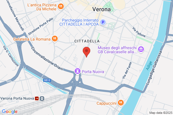 Savoia luca (Rag.)