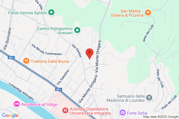 Istituti Civici Di Servizio Sociale - Iciss - verona
