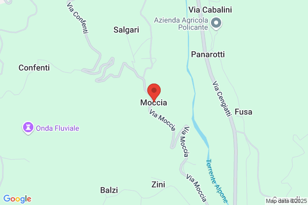 Moccia luca