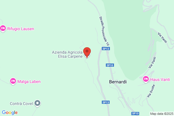 Carpene renzo
