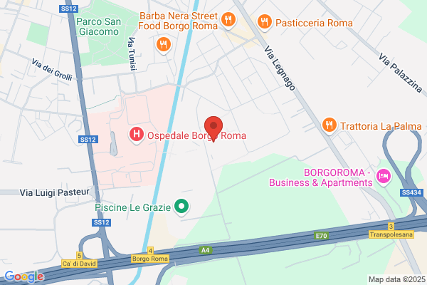 Dipartimento Scientifico E Tecnologico Delluniversita Di Verona