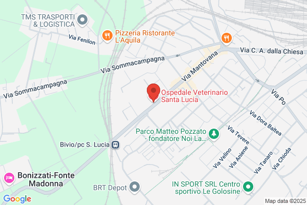 Ospedale Veterinario Santa Lucia VP