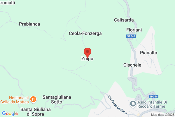 Zulpo bruno