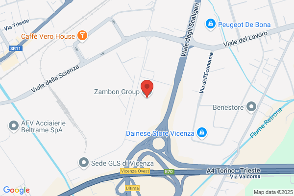 Zambon Group (S.P.A.)