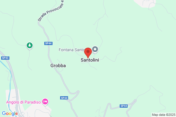 Santolin enrico (Geom.)