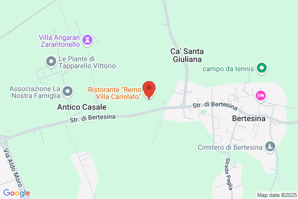 Ristorante Da Remo (S.N.C.)