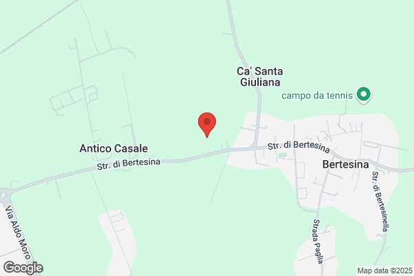 Ristorante da Remo