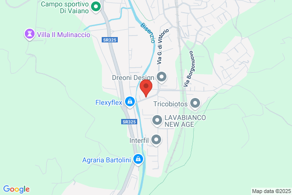 L.V. Lanzarini Srl