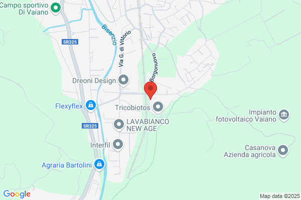 Filatura Di Spicciano Srl