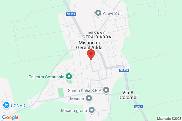 Il Mastro Calzolaio
