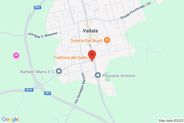 Trattoria Del Gallo Snc Di Gualdoni Alfreda e c.