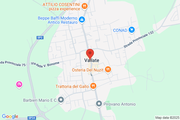 Vailati antonia