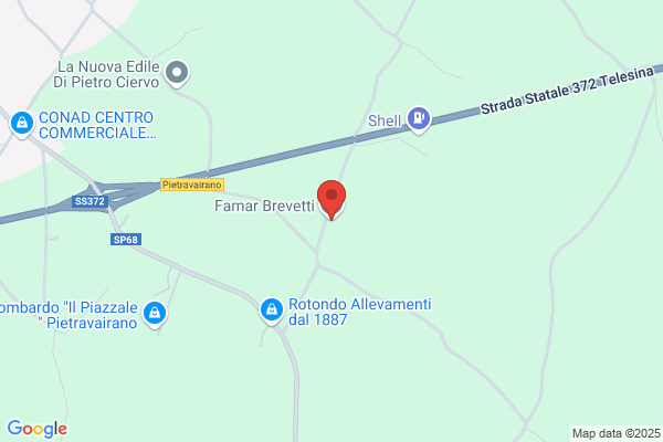 Famar Brevetti