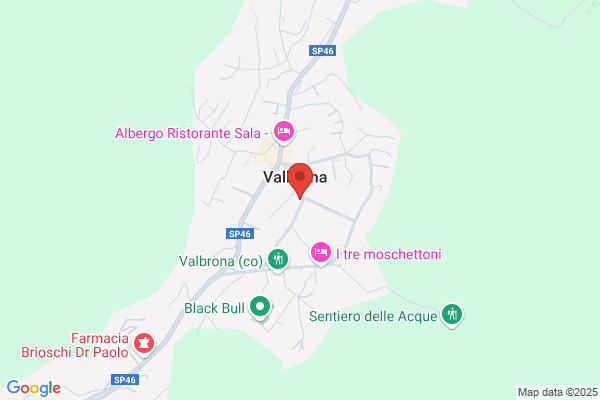 Gregori Erina