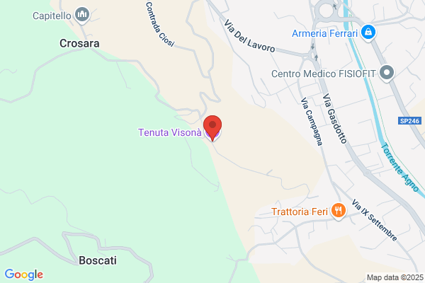Visona clelio