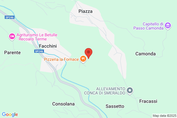 M.D.M. Di Frizzo Renato