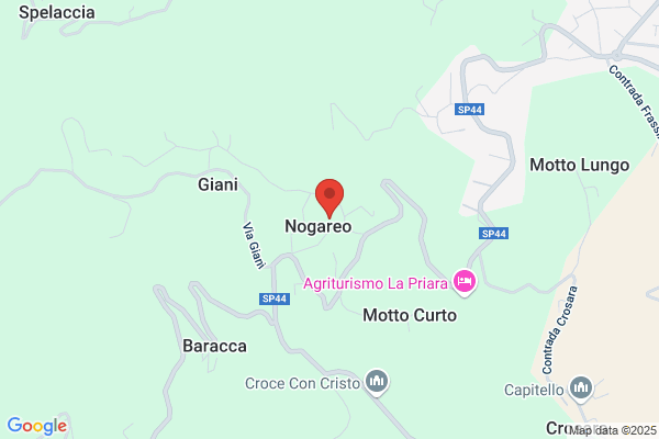 Vida Dei Fratelli Visona Dalla Pozza (S.N.C.)