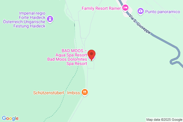 Hotel Bad Moos Dolomites Spa Resort