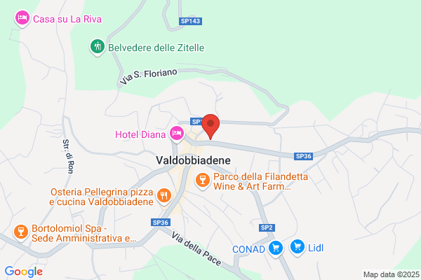 Noi Giovani