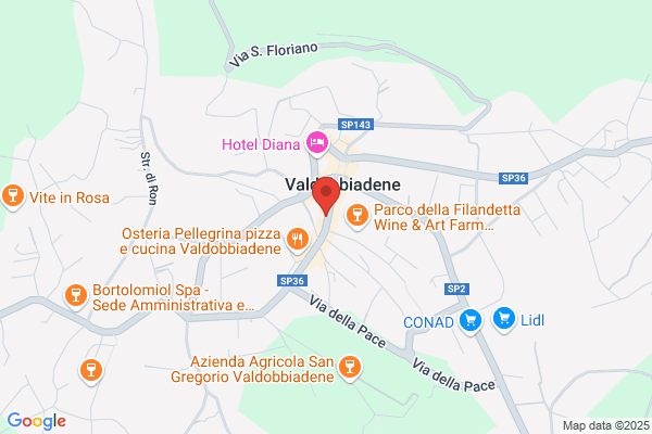 Immobiliare Valsana (S.R.L.)