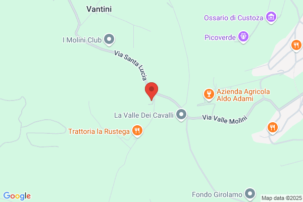 Vicentini gino