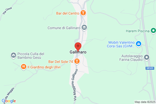 Gallinaro Carla