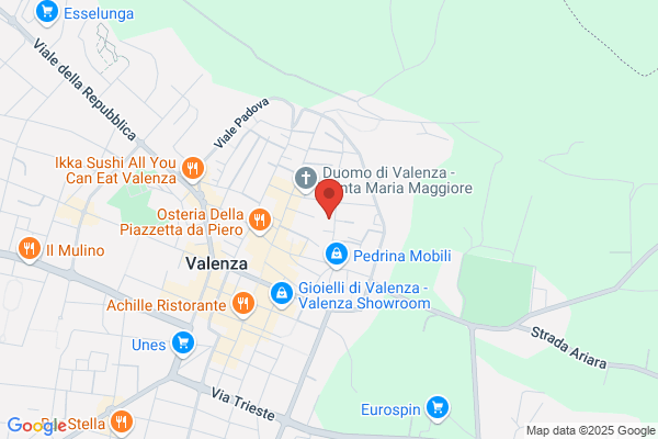 Phoenix Metalli Preziosi