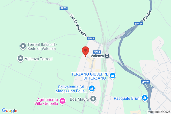 Palmiero enza