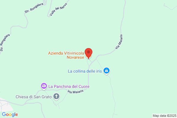 Novarese federico