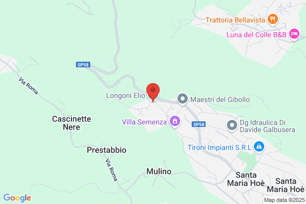Longoni elio