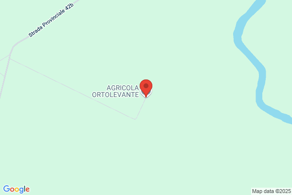 Ortolevante