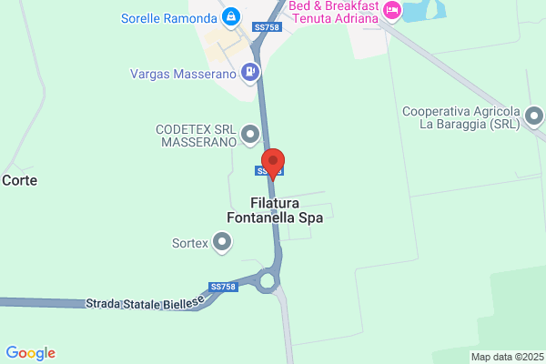 De Vizia Transfer