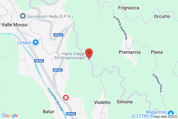Vigna Viaggi Di Penny Tour S.R.L.