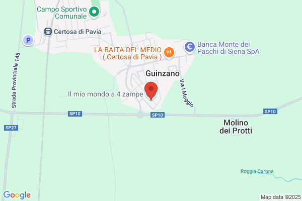 Il Mio Mondo a 4 Zampe