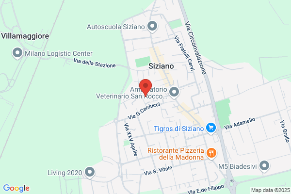 Impresa di Pulizie E23