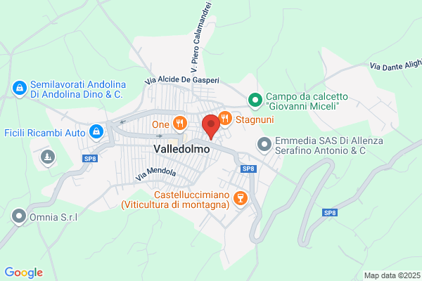 Autoservizi Lo Iacono Salvatore e C.