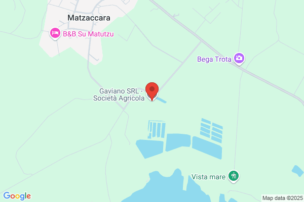 Allevamento Ittico Matzacara