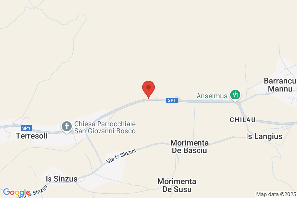 Ambiental Service