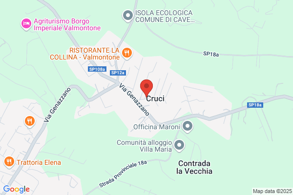 Ricci maurizio