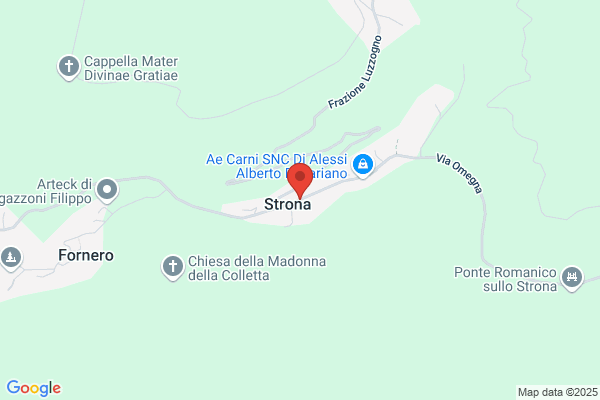 Macconi silvano